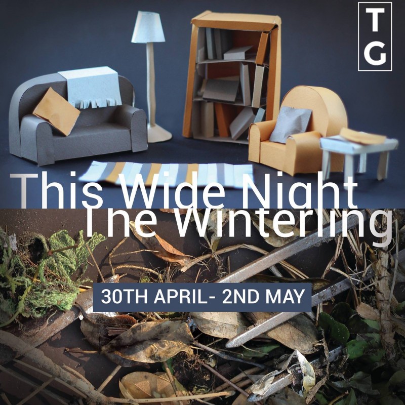 tg_winterling+widenight